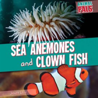 Sea_Anemones_and_Clown_Fish