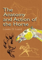 The_Anatomy_and_Action_of_the_Horse