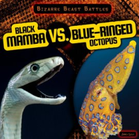 Black_Mamba_vs__Blue-Ringed_Octopus