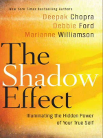 The_Shadow_Effect