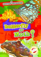 Butterfly_or_moth_
