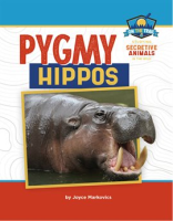 Pygmy_Hippos