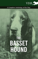The_Basset_Hound