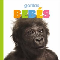 Gorilas_beb___es