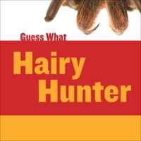 Hairy_Hunter