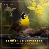 Common_Yellowthroat_and_Other_Bird_Songs