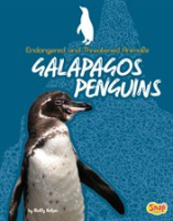 Galapagos_Penguins