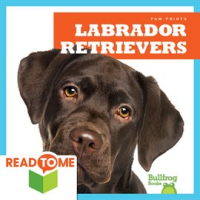 Labrador_Retrievers