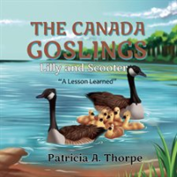 The_Canada_Goslings