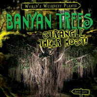 Banyan_Trees_Strangle_Their_Host_