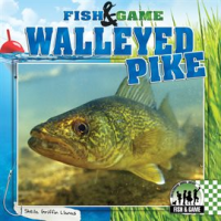 Walleyed_Pike