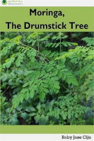The_Drumstick_Tree_Moringa