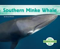 Southern_minke_whale