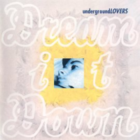 Dream_It_Down