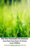 Best_Non-Flammable_Fire_Resistant_Grass_Plant_From_Nature_to_Prevent_Forest_Wildfires