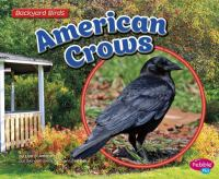 American_crows