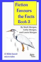 Fiction_Favours_the_Facts_-_Book_3