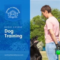 Dog_Training