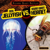 Box_Jellyfish_vs__Asian_Giant_Hornet