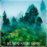 Relaxing_Nature_Sounds