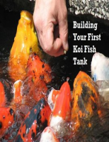 Building_Your_First_Koi_Fish_Tank