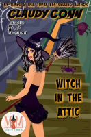 Witch_in_the_Attic__Magic_and_Mayhem_Universe
