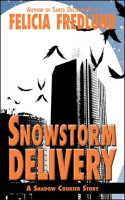 Snowstorm_Delivery