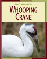 Whooping_Crane
