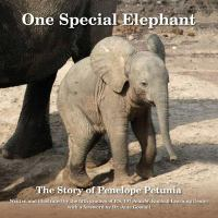 One_special_elephant