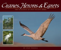 Cranes__Herons___Egrets