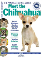 Meet_the_Chihuahua