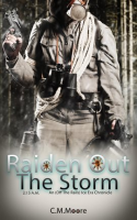 Raiden_Out_the_Storm