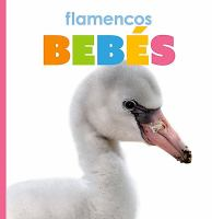 Flamencos_beb___es