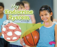 My_Endocrine_System