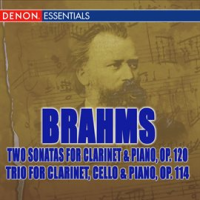 Brahms__Two_Sonatas_for_Clarinet_and_Piano__Op__120_and_Trio_for_Clarinet__Cello__and_Piano__Op__114