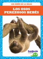 Los_osos_perezosos_beb___es