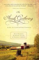 An_Amish_gathering