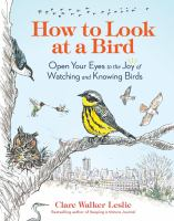 How_to_look_at_a_bird