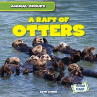 Raft_of_Otters