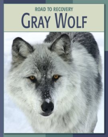 Gray_Wolf