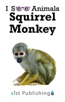 Squirrel_Monkey