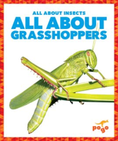 All_About_Grasshoppers