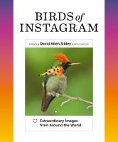 Birds_of_Instagram