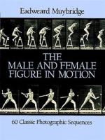 The_Male_and_Female_Figure_in_Motion