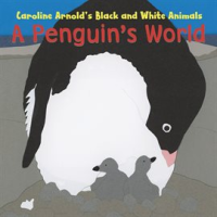 A_Penguin_s_World
