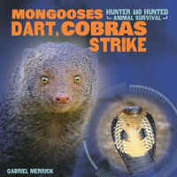 Mongooses_Dart__Cobras_Strike