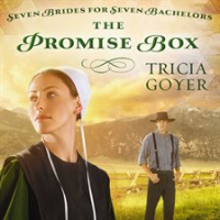 The_Promise_Box