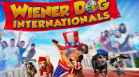 Wiener_Dog_Internationals