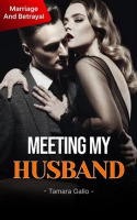 Meeting_My_Husband