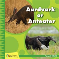 Aardvark_or_Anteater
